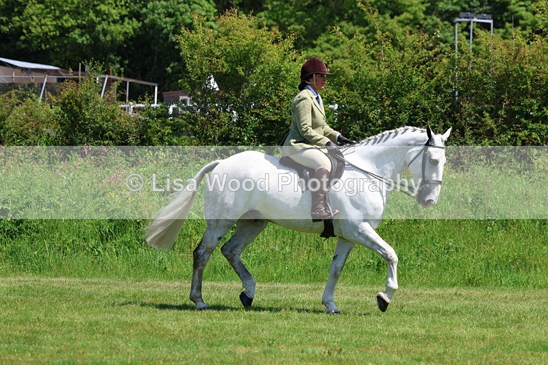 3E7A8198 - Class 13: Ridden Hunter