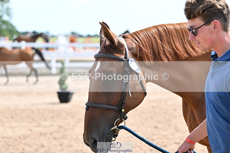 240717A-154219-02995 - Trot Up 3pm to 4pm