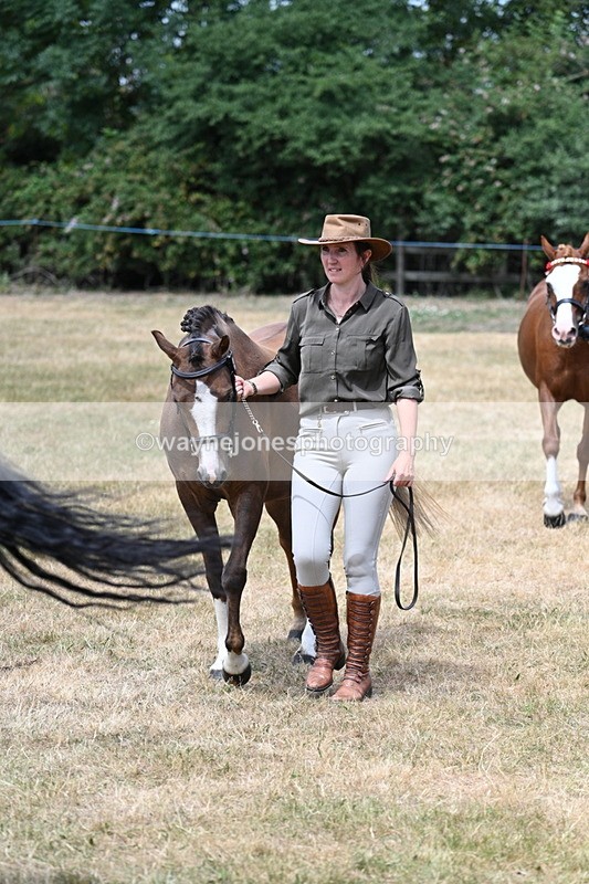 WJ7_2082 - Prettiest Mare Champs