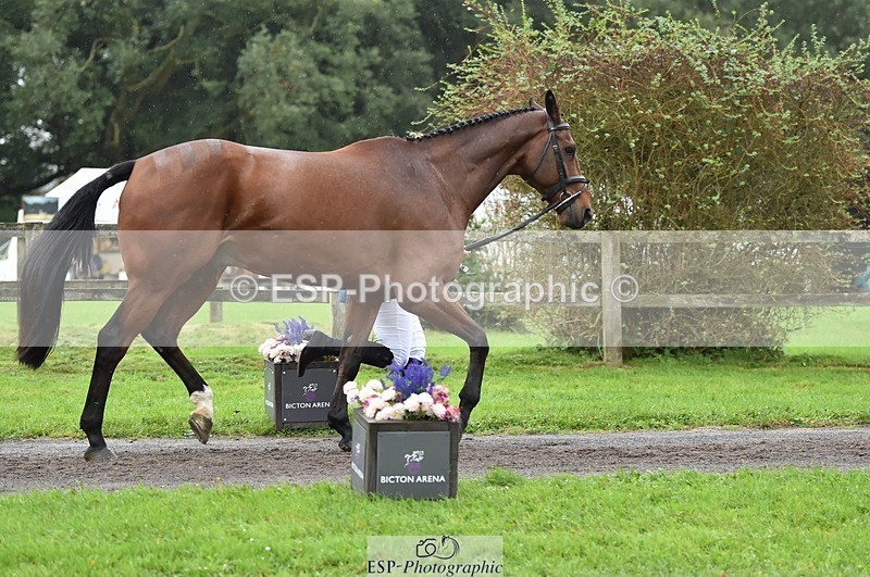 231018-124638-00512 - 062-CLASS.ROMANCE-Eleanor.Hope-TrotUp