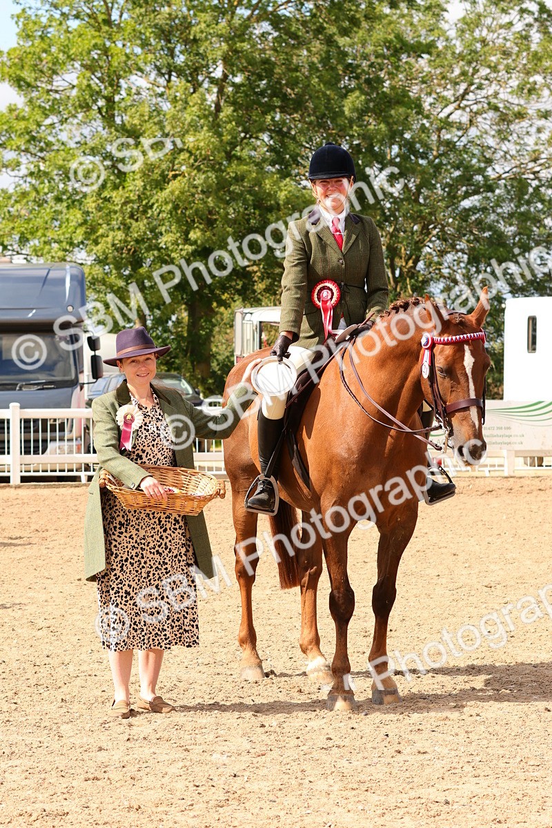 SBM_14164 - Class 213 - Ridden Hack Riding Horse