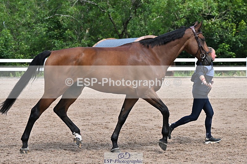 240718A-105250-01221 - Trot Up 12pm to 1pm