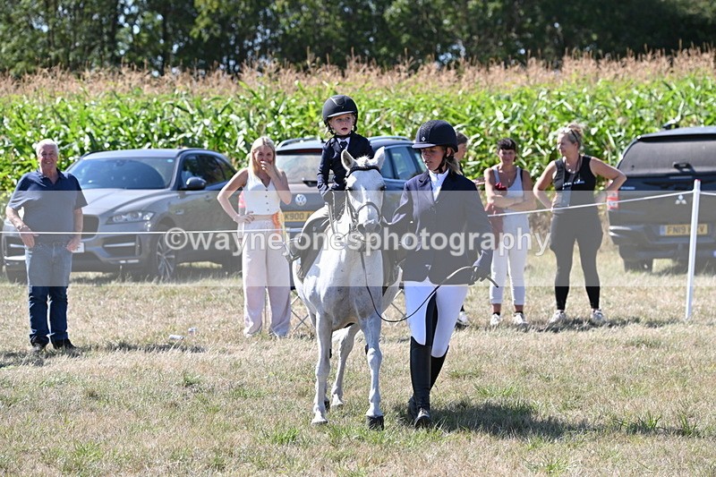 WJ6_8018 - Class 36 Lead Rein