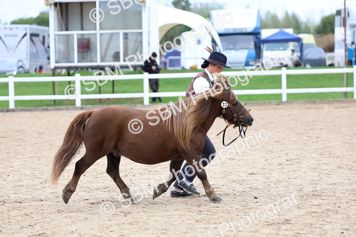 SBM_05951 - Class 29 - IH Veteran Pony