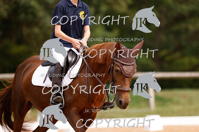 _R6A2531 - Dressage Morning