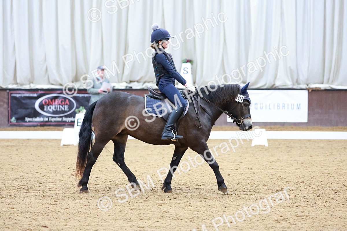 1I0A0696 - Class 3-6 - Prelim 1-Novice 2