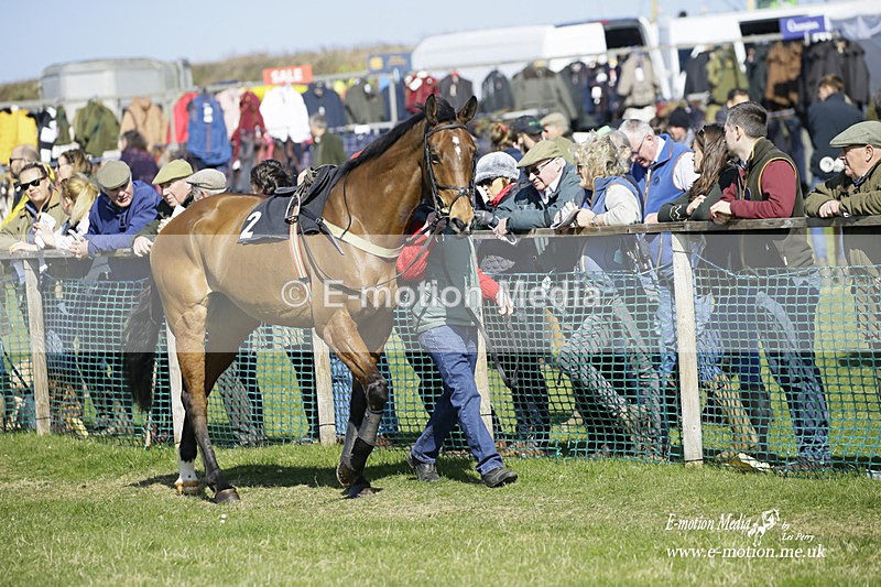 PtP 190322 343 - Wilton Hunt PtP Milborne St Andrew 19/03/22