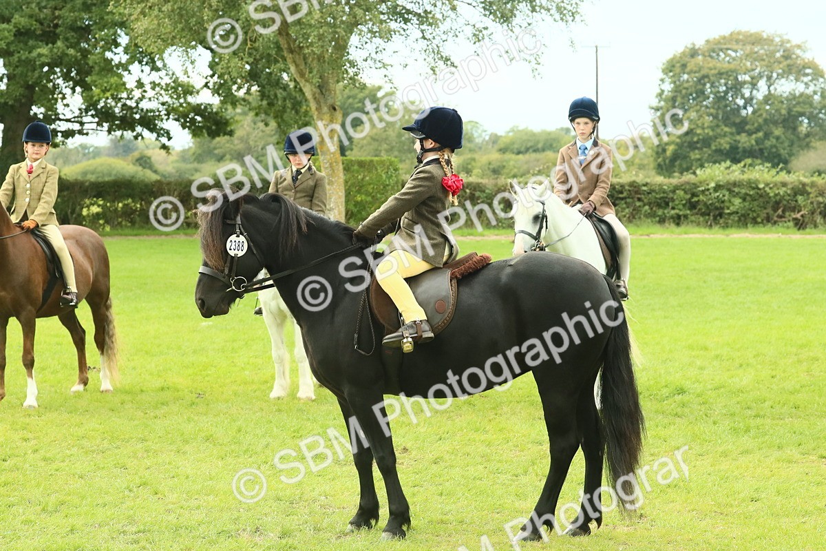 SBM_69974 - S59 - Mountain & Moorland Ridden Small Breeds