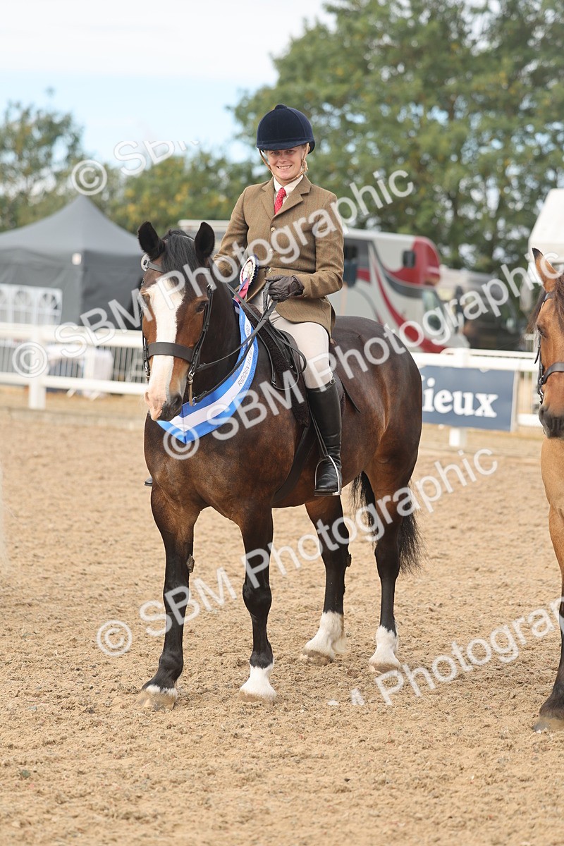 SBM_02024 - Class 14 - Ridden M&M Wildcard