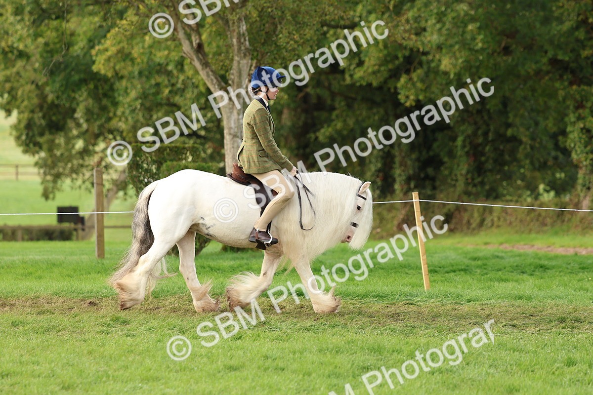 SBM_56563 - S40 - Starters Ridden Showing