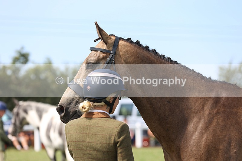 JPP_3399 - Class 22: Working Hunter 70cm