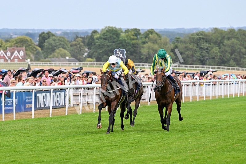 280726-Race 4-Vega King-0912 - Race 4 15.20pm 30 Years Of The Hurn Racing Club EBF Novice Stakes