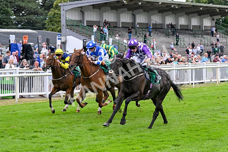 010726-Race 7-Indian Run-8886 - Race 7 16.10pm Weatherbys Global Stallions App Handicap