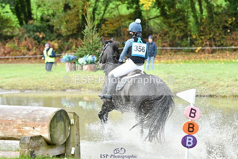 251025A-104202-17473 - D-356-Eloise.Starr