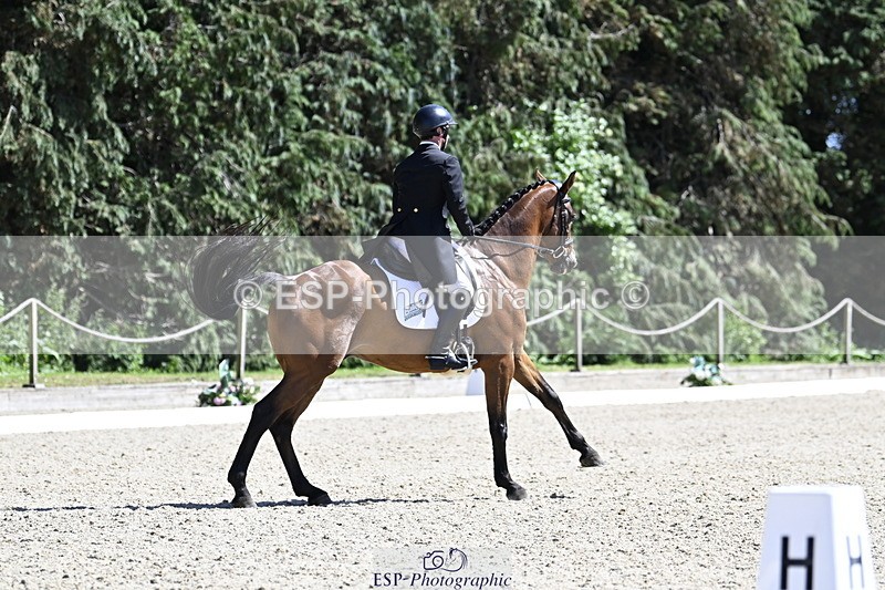 250522A-151102-03814 - D-414-Rupert.Batting-COOMBELAND.SEMILLY