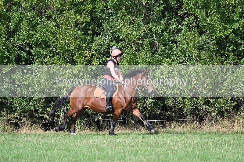 WJ7_9561 - Time 12:12 to 12:40