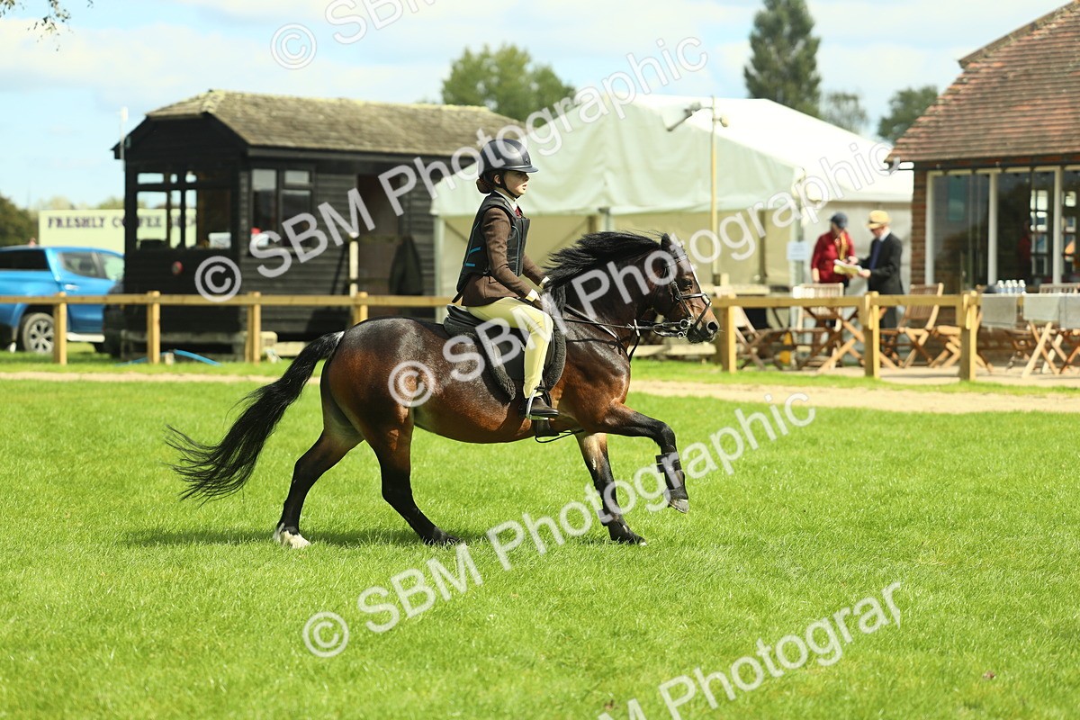 SBM_42748 - S30 - M&M Working hunter Pony