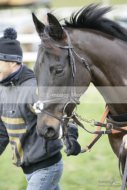 PtP 281121 0371 - Hursley Hambledon Point-to-Point Larkhill 28/11/21
