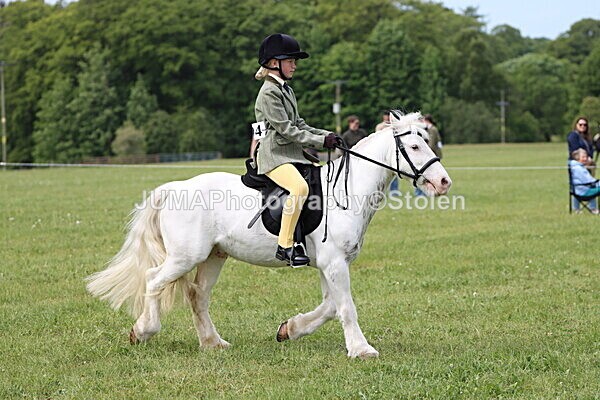 IMG_2645 - Working Hunter