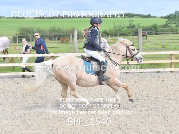 BPP_1540 - DERBY CLASS 3 - 40CM