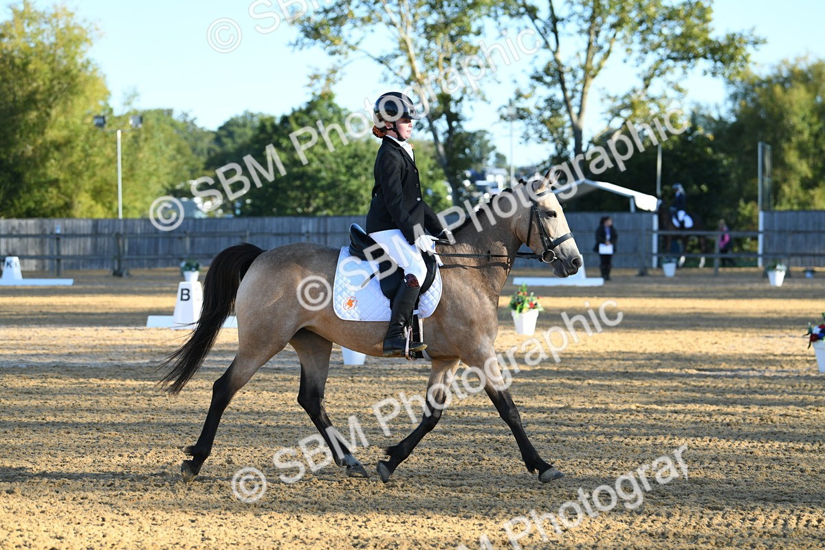 SBM_14306 - D4 - Small Tour Championship - Intro B