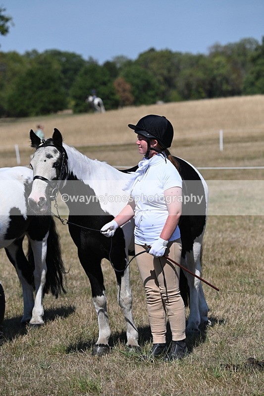 WJ6_8647 - Class 37b Best Loan Pony In-hand