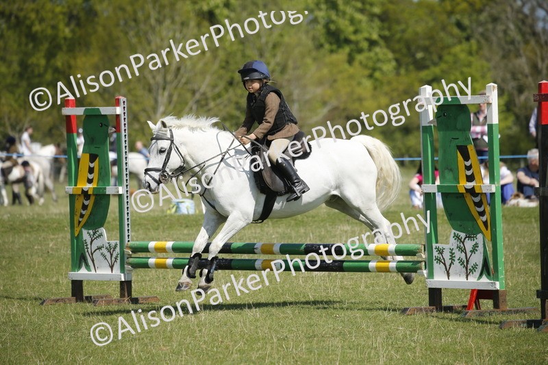 20250427-2213 - Class 13 - Novice Jumping 60cm