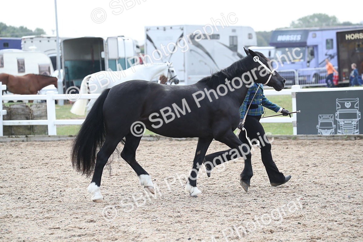 SBM_23298 - Class 606 - 2025 Area - IH Pre Vet