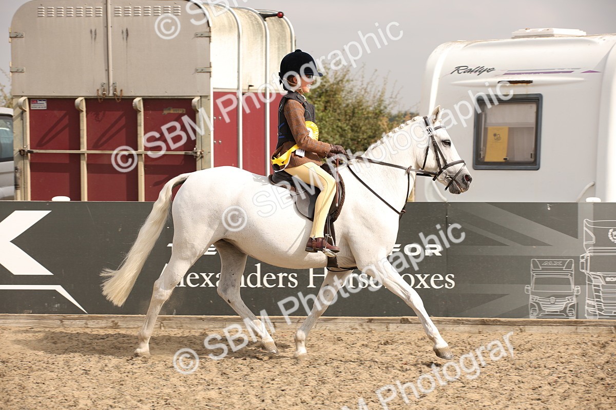 SBM_11713 - Class 404b Junior Working Veteran- 40cm(20+)