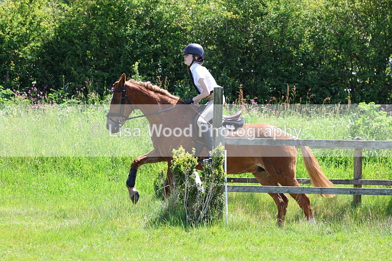 3E7A7121 - Class 30: Novice Working Hunter
