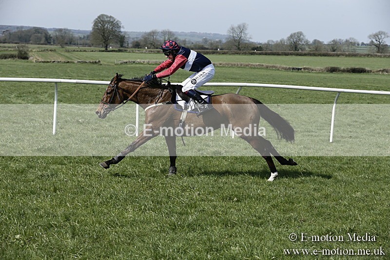 PtP 260317 13 - Mendip Farmers Point-to-Point Ston Easton 26/03/17