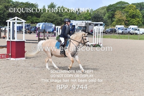 BPP_9744 - CLASS 2 Derby Show Jumping 30CM