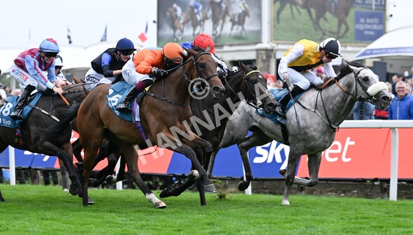 200825-275 Rubys Angel - Race 7 5.20pm Sky Bet Nursery Handicap