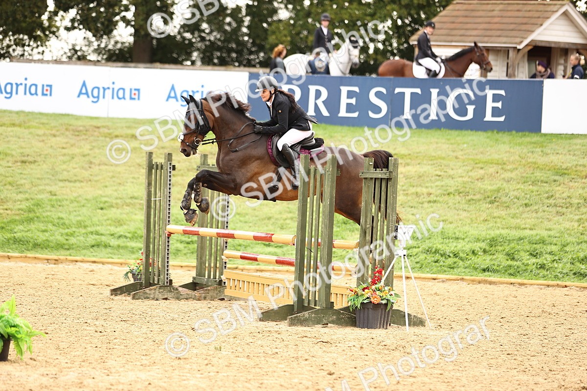 SBM_58551 - J41 - Grand Tour Horse & Pony 95cm