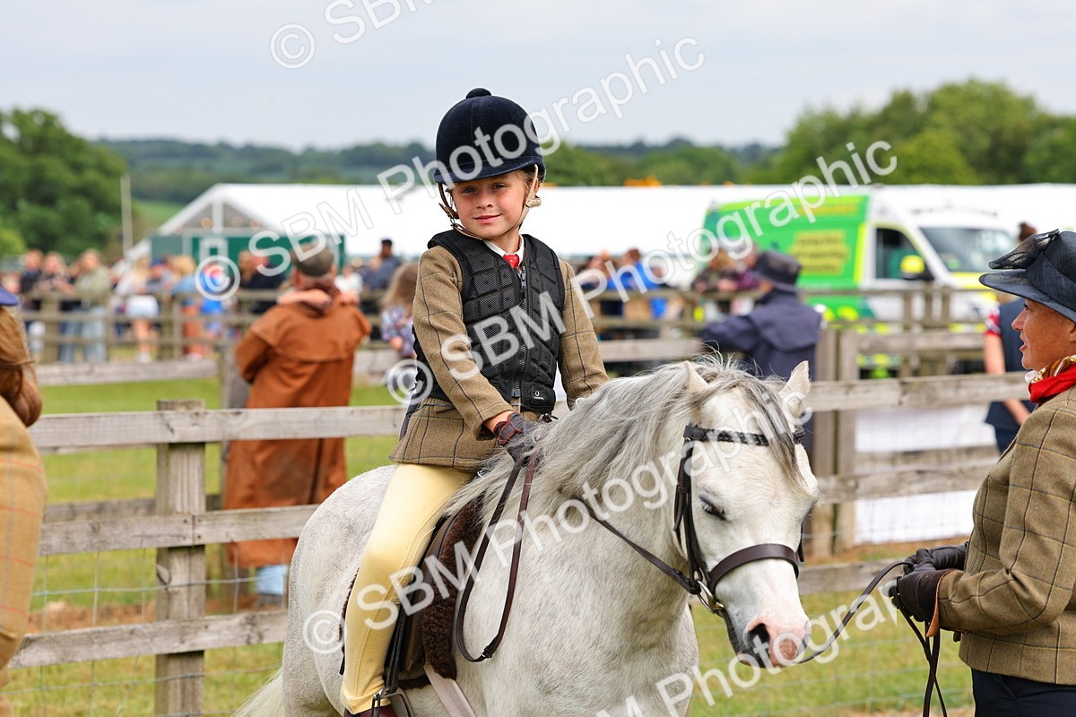SBM_08303 - Class 42-43 - LIHS BSPS Heritage Working Sports Pony