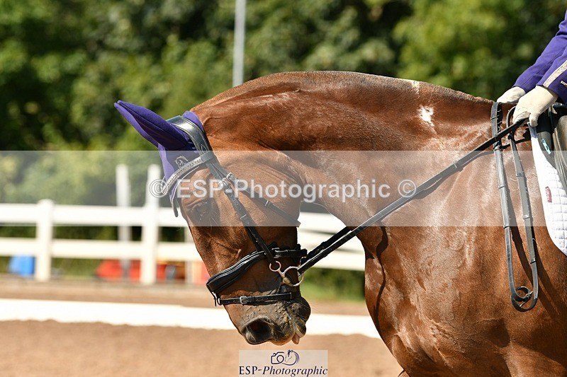 250817-150525-10396 - 182-Natalie.RosewarnePenpont.Fancy.That