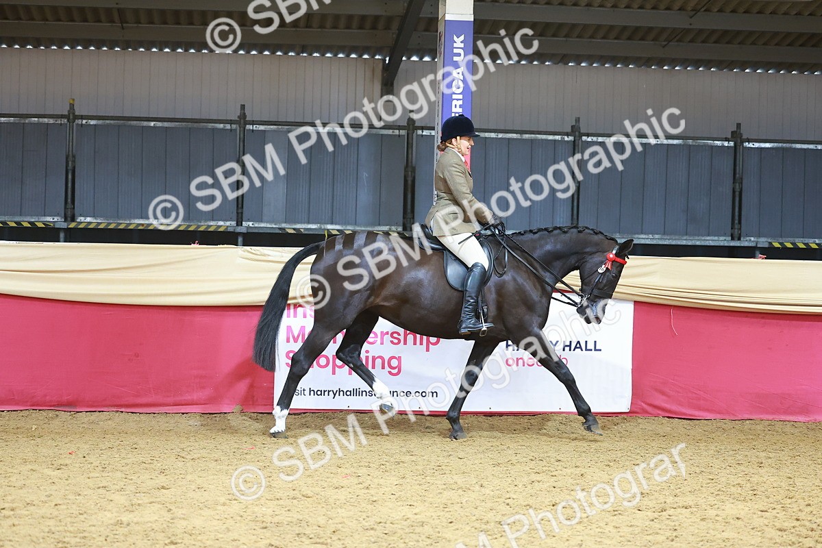 SBM_10526 - Class 103 - HOYS Veteran Qualifier - Ridden Pre Vet