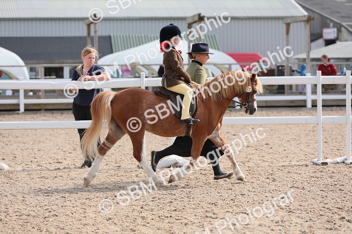 SBM_13990 - Class 309 Lead Rein Pony