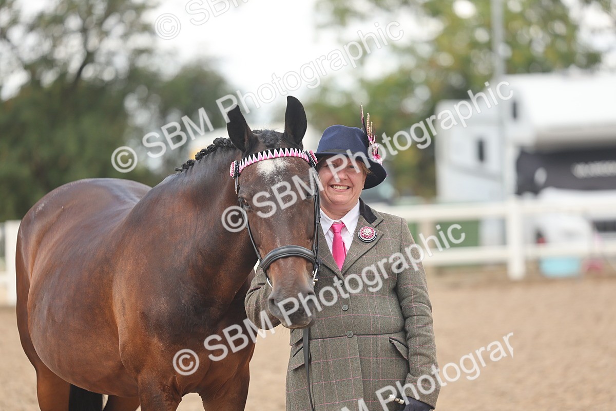 SBM_04331 - Class 17 - Prettiest Mare (IH or Ridden)