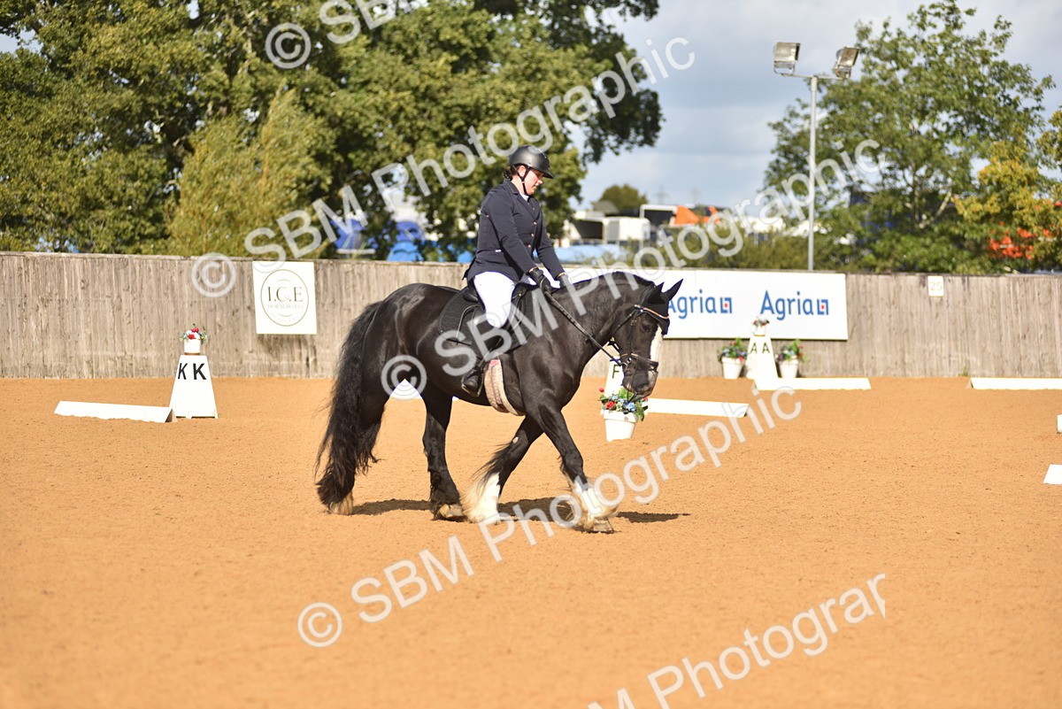 SBM_03254 - D4 - Small Tour Championship Intro 4
