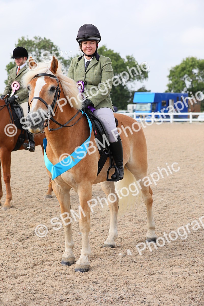 SBM_11498 - Class 305 Ridden Foreign Breeds- Pure Bred