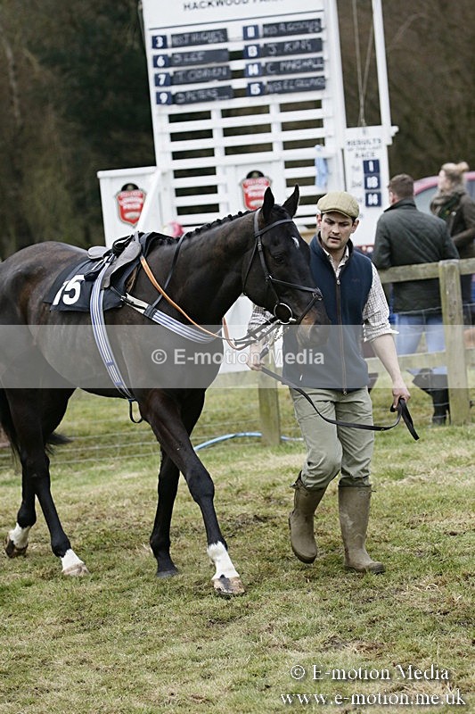 PtP 110318 185 - Hampshire Hunt Point-to-Point Hackwood Park 11/03/18