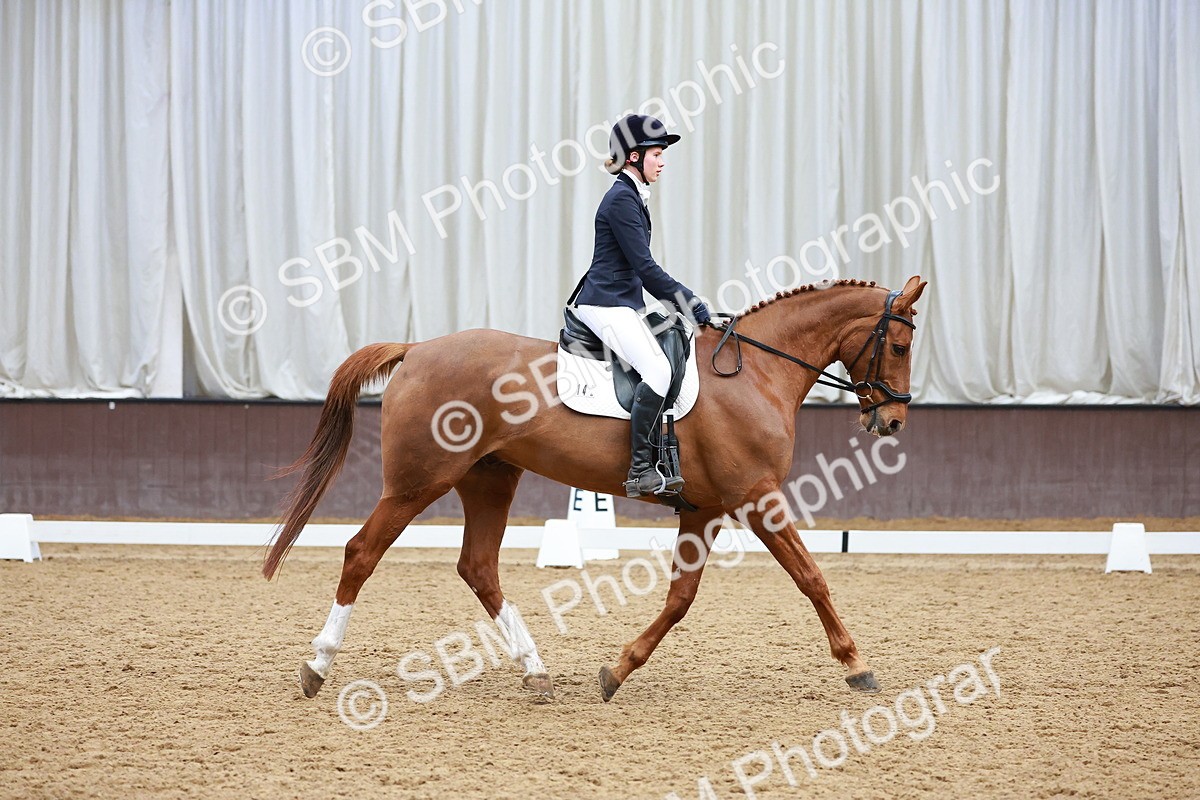 SBM_003441 - Class 11 - Novice 2