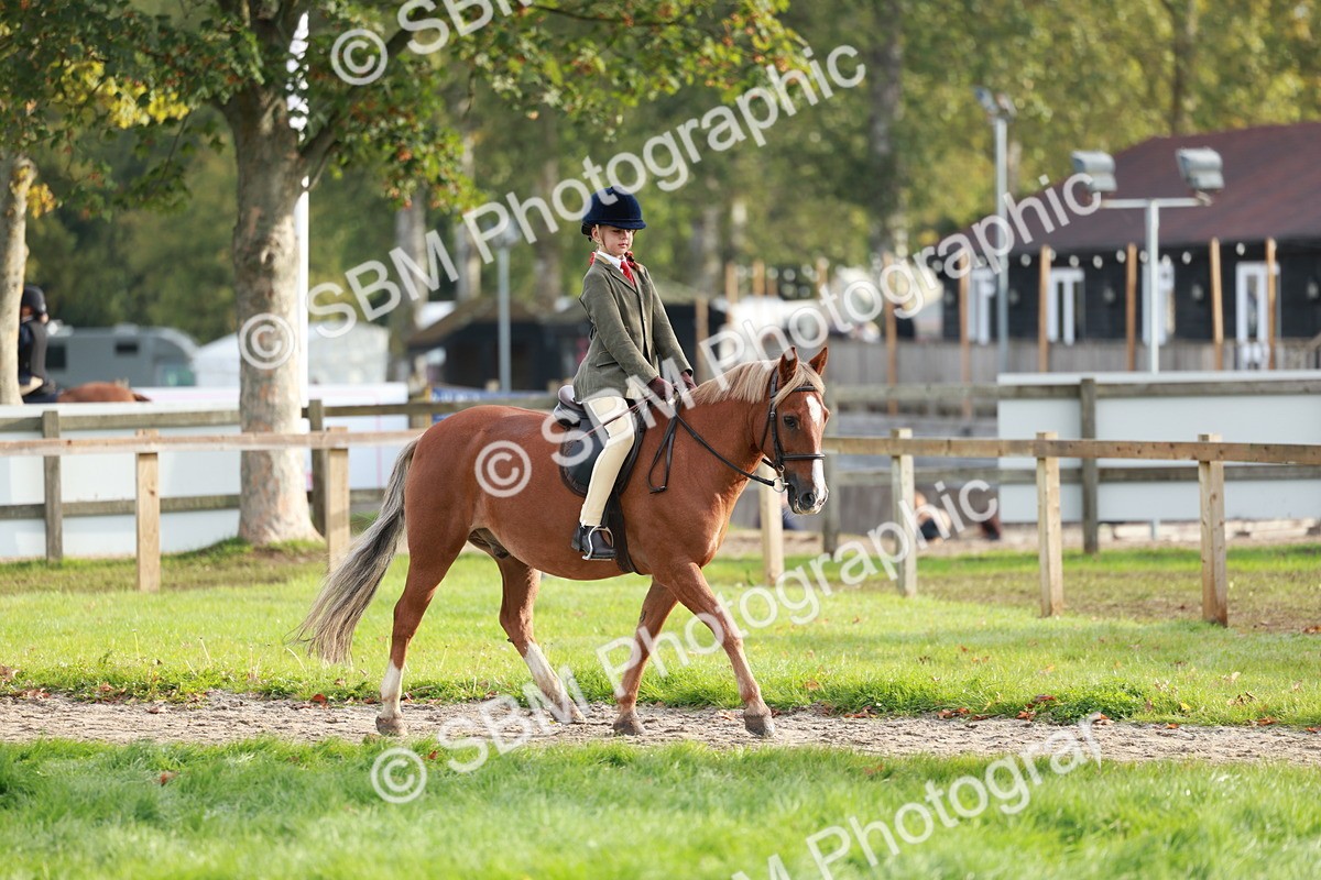 SBM_56359 - S39 - Starters In Hand Showing