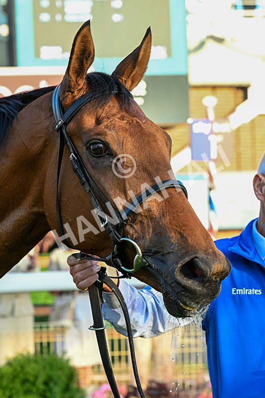 240726-Race 5-Diamond Rain-0624 - Race 5 19.50pm British EBF Lyric Fillies' Stakes