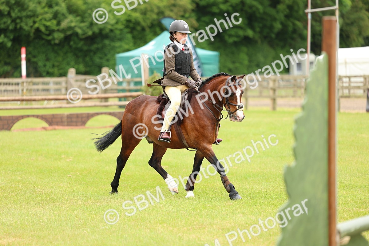 SBM_10301 - Class 44-45 - LIHS BSPS Open Nursery and Cradle Stakes