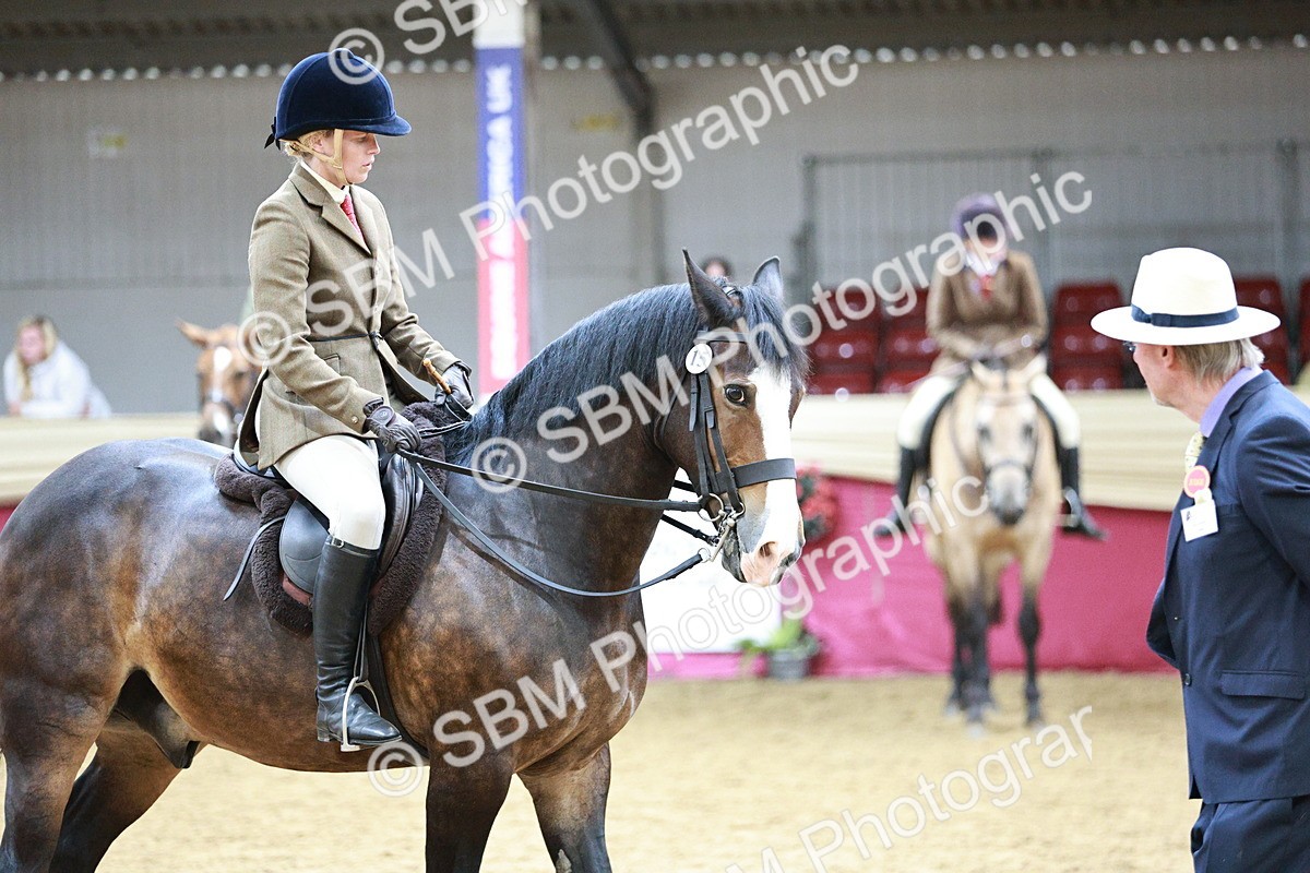 SBM_03586 - Class 6A Area Ridden Pre-Vet
