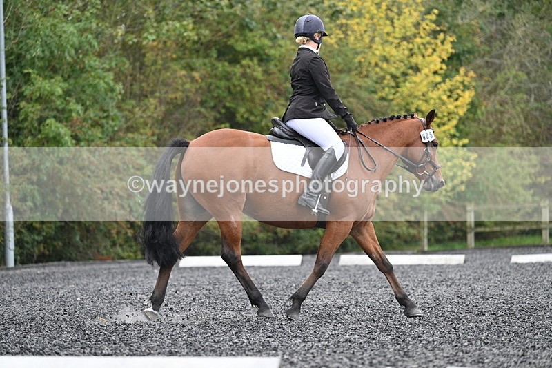 WJ7_2980 - Time 09:00 to 09:35