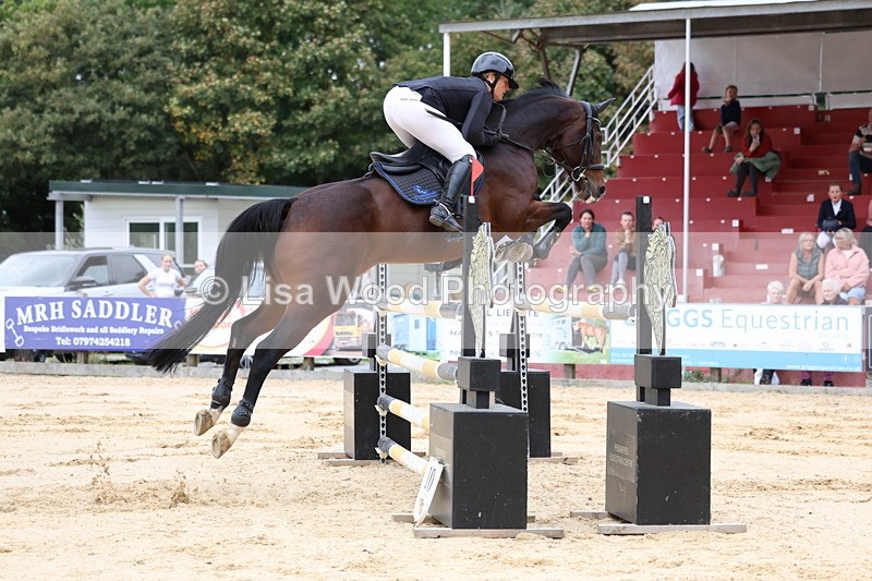 3E7A3394 - Class 9: Senior Foxhunter/1.20 open