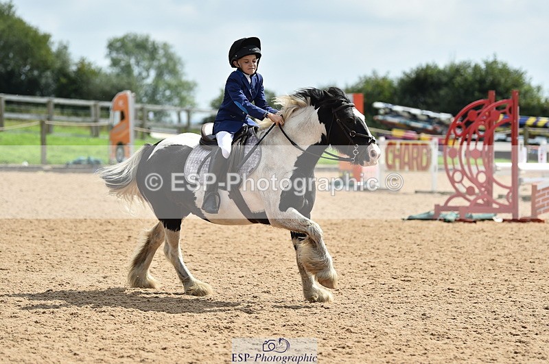 230902A-130604-01311 - Cls 3A Pony Medium 80cm